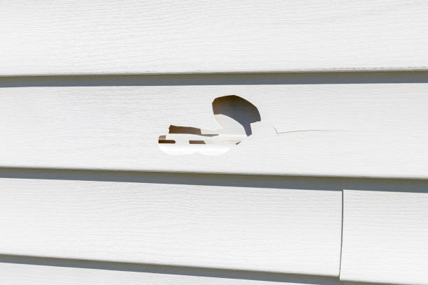 Best Construction Debris Removal  in Hawaiian Ocean View, HI
